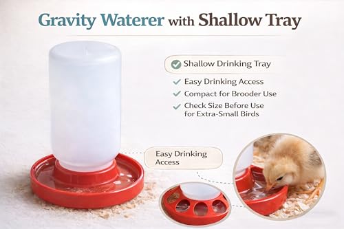 Baby Chick Feeder and Waterer Set, 1 Quart Poultry Starter Kit | Gravity-fed shallow water tray, compact brooder design, easy to refill and clean, for chicks, ducklings and small poultry