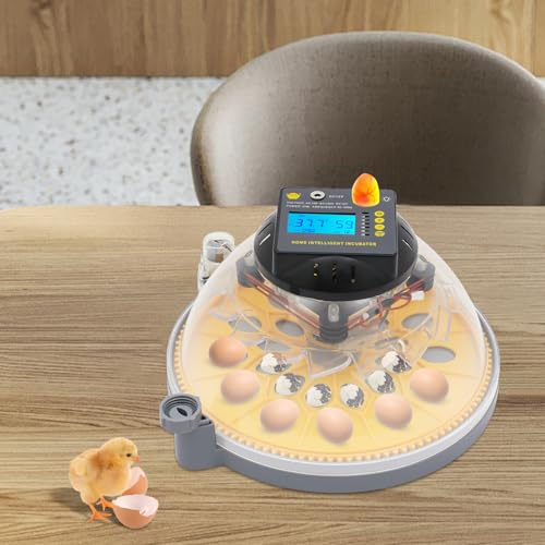 12 Egg Incubator Egg Candler Automatic Egg Turner 360 Degree View with Automatic Egg Turning and Humidity Control for Hatching Chickens Goose Pigeon Quail Duck