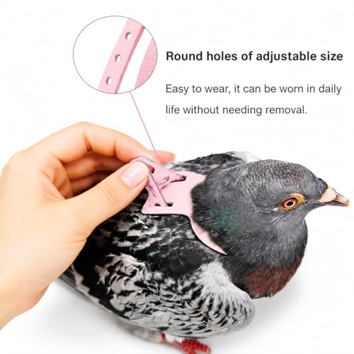 Bird Harness and 3M Elastic Flight Leash, Adjustable Parrot Harness for Budgies, Parakeets, Lovebirds, Cockatiels, Conures, Quaker Parrots, Pigeons(Pink, XS) 6350-15 - color: Pink, size: XS,for Lovebirds and similar size