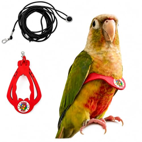 Adjustable Bird Harness & Leash Set for Small Birds,FitsBudgie,Parakeets, Conures, Cockatiels,Green Cheek,Quaker Parrots(Red, S) 6350-2 - color: Red, size: S,for Green Cheek and similar size birds