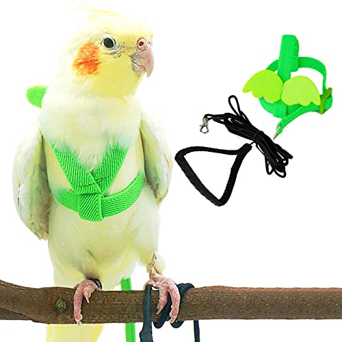 Dnoifne Pet Parrot Bird Harness and Leash, Adjustable Training Design Anti-Bite, Bird Nylon Rope with Cute Wing for Parrots, Suitable for Scarlet, Keck, Mini Macaw and Same Size Birds (Green) - color: green