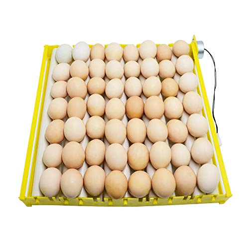 Morishima Automatic Multifunction Incubator Egg Tray Turning Hatcher for Chickens/Ducks/Birds/Poultry（9 Tubes） - color: 9 Tubes