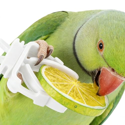 12 Pack Bird Skewers, Bird Kabob Fruit Vegetable Holder for Parrots Conure Cockatiels, Metal Bird Cage Feeder Clips with Hooks, Foraging Toys Supplies - color: white 12pcs