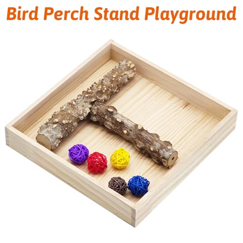 BNOSDM Portable Bird Perch Stand with Potty Tray, Natural Wood Tabletop Training Gym Parrot Playground Toy for Budgies, Cockatiels, Lovebirds,Conures - color: T-Shaped Bird Stand