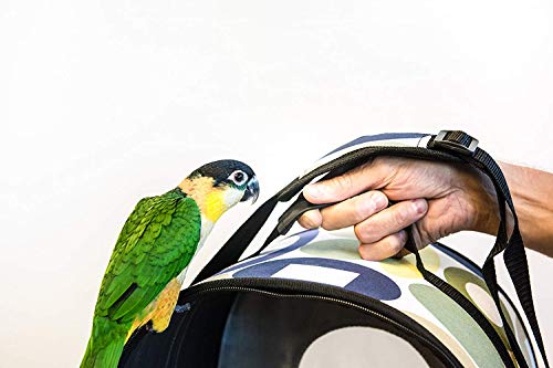 Prevue Pet Products Soft Sided Bird Travel Carrier with Perch Small, Multicolor - size: 14.5"L x 7.8"W x 14.5"H