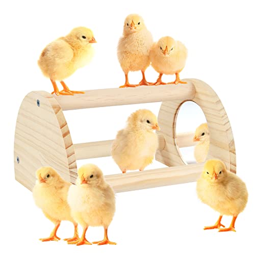 Pine Chicken Perch with Mirror, Strong Chick Jungle Gym Roosting Bar, Chicken Toys for Coop and Brooder, Training Perch Toys for Large Bird, Parrot, Macaw, Hens (Small) - size: Small