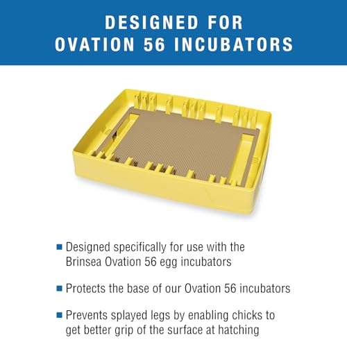 Brinsea Cardboard Hatching Mat for Ovation 56 Egg Incubator, Pack of 6 | Authentic Brinsea Ovation 56 Incubators liner; textured, disposable floor covering helps chicks grip safely during hatching - style: Ovation, 56 Egg Count Mat