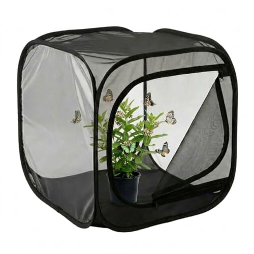 Insect & Butterfly Habitat Cage, Portable Pop-Up Terrarium with Mesh Sides, Bug Catching & Observation Enclosure for Caterpillars, Small Insects, Outdoor & Classroom Use, 12 Inches Tall - color: Black/Black, size: 12 × 12 × 12 inches