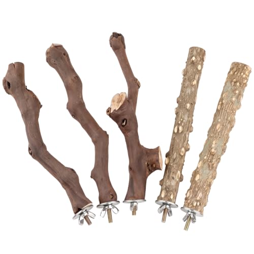 5PCS Bird Perch Stand Natural Wooden Parrot Stand Branch,3 Grape Wood Perch,2 Stand,Paw Grinding Fork Parakeet Chewing Stick Exercise Training Branches for Cockatiels,Small Medium Birds