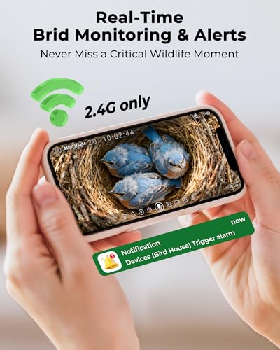 Bird House with Camera,Solar Smart Birdhouse with Camera Inside | Motion Detect & Night Vision,App Control,Wi-Fi Bird Watching for Backyard Nesting,Bird House for Outside with Camera,Green - color: Light Green