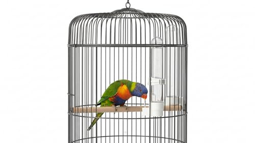 Automatic Bird Water Dispenser Cage Hanging Water Feeder with Anti-Spill Design for Parakeet Canary Small Parrot Lovebirds (3PCS 120ml Water Dispenser) - color: 3PCS 120ml Water Dispenser
