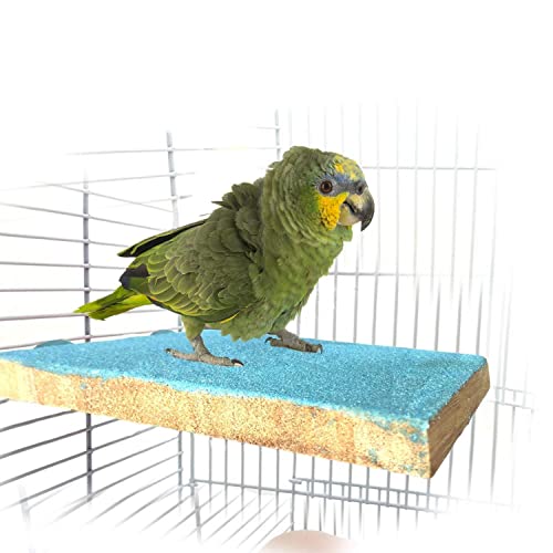 Litewoo Bird Perch Grinding Stand for Parrot Budgie Parakeet,5.1" x 3.5" | Natural quartz sand, wood perch, trims beak & nails, flat bird perch for small-medium parrots/budgie/parakeet/lovebird/finch