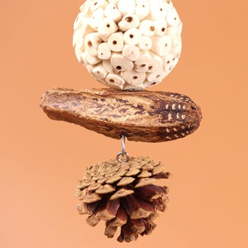 Bird Chew Toy for Pet Bird Parrot Sola Ball Natural Nuts Pinecone Chewing Toy for Small Parakeet Cockatiel Conures Finch Budgie (L) - size: L