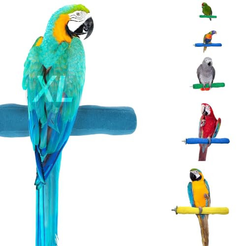 Sweet Feet and Beak Comfort Grip Safety Bird Perch, X-Large Pedicure Perch | Made from Bird-Safe Concrete Blend, Promotes Feet, Nails and Muscle Stimulation, 13.5" Perch, Available in 5 Sizes, Blue - color: Blue, size: X-Large 13.5"