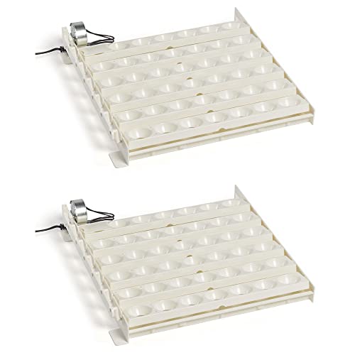 Farm Innovators 3200 Automatic 41 Spot Egg Turner for the Bottom of Incubators to Eliminate Manual Handling and Improve Hatching Rate, White (2 Pack) - size: 2 Pack