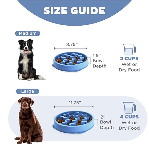 Outward Hound Fun Feeder Slo Bowl – Large 4‑Cup Capacity, Slow Feeding, Medium to Large Dogs, Non‑Slip, Blue, Notch Pattern - color: Blue, size: Large