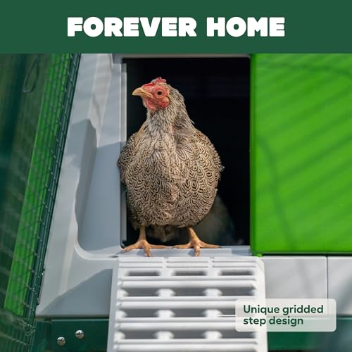 Omlet Eglu Cube Large Chicken Coop | Easy to Clean Plastic Chicken Tractor | The Most Secure Hen House for Complete Peace of Mind | Weatherproof Cool in Summer and Warm in Winter | Green