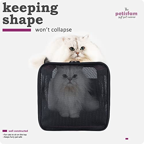 Soft Pet Carrier for Large and Medium Cats, 2 Kitties, Small Dogs. Easy to Get Cat in, Great for Cats that Don't Like Carriers (Viva Magenta) - color: Viva Magenta
