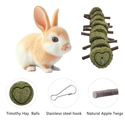 LWINGFLYER 4 Pack Bunny Chew Toys Apple Wood Chews Rabbit Cage Hanging Grass Cake Snack Treat for Teeth Grinding Improve Small Pet Guinea Pigs Chinchillas Hamsters Parrots Dental Health