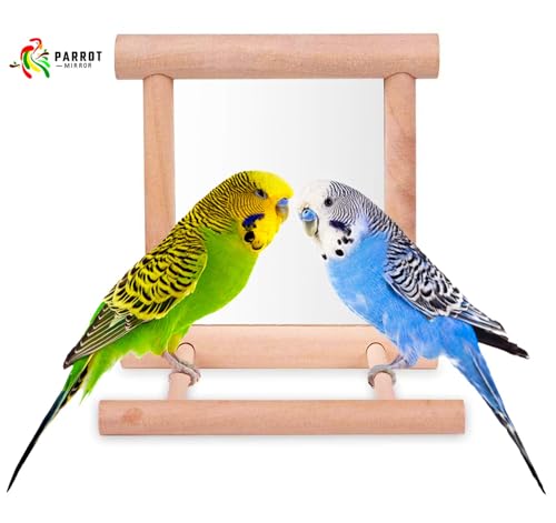 Blessed Family 2 Piece Bird Parakeet Mirror for Cage,Parrot Perch Stand,Wooden Hummingbird Swing Toy,Parakeet Accessories for Cockatiels Conure Finch Lovebird Canary African Grey Macaw