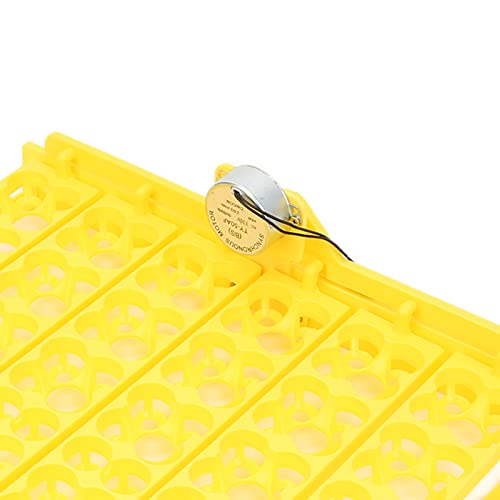 Akozon 156pcs Fully Automatic Egg Incubator Tray Durable Plastic Egg Turner for Chicken, Duck, and Quail (110V)