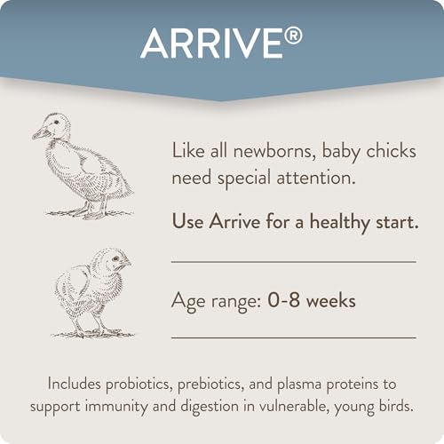 Arrive, Daily Probiotic & Prebiotic Water Supplement for Young Chickens 0-8 Weeks Old, 8 oz (Pack of 2) - color: FlockLeader Arrive, size: 8 Ounce (Pack of 2)