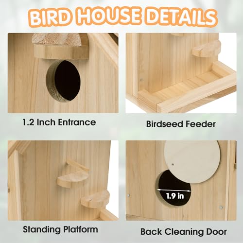 DIY Birdhouse Kit, Wooden Bird House for Adults to Build, DIY Bird House for Outside, Outdoor Woodworking Adult Crafts