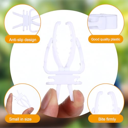 12 Pcs Bird Cage Food Holder, Parrot Fruit Vegetable Clips Millet Holder for Birds Cages Feeder Clip for Budgie Parakeet Canary Cockatiel Macaw Conure Cockatoo