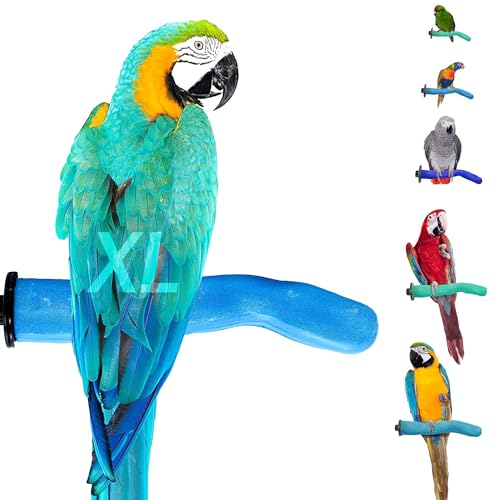 Sweet Feet and Beak Safety Pumice Bird Perch, X-Large Pedicure Perch, Blue | Plastic Bird Nail Trimming Perch, Pumice Coated Surface for Healthy Feet and Beak, 13.5" Perch, Available In 5 Sizes - color: Blue, size: X-Large 14"