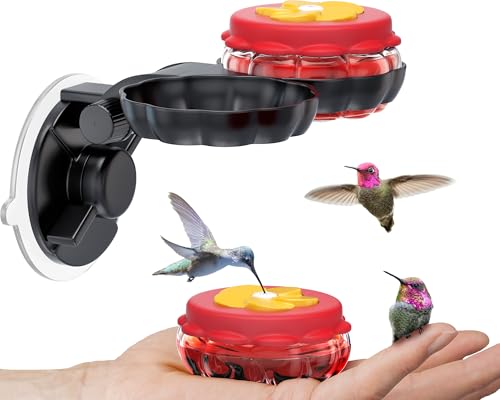 Handheld Small Glass Hummingbird Feeders (Set of 2) with Window Suction Mount Base - Window/Handheld or Tabletop Mini Hummingbird Feeders for Outdoors - style: 2 Hand Feeders + suction cup