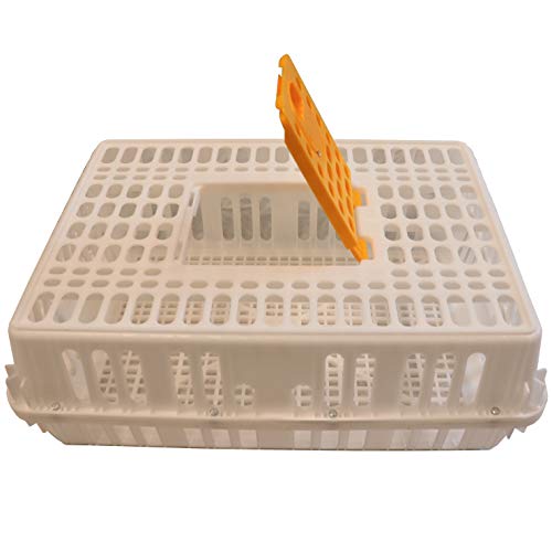 29x21x10.5 Poultry Transport 4H Show CAGE COOP Crate Chicken