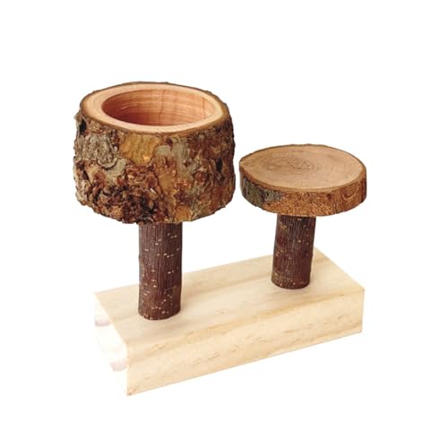 Apple Wood Feeding Bowl for Small Animals, Food Dish for Guinea Pig, Chinchilla Parrots - color: Stair Bowl