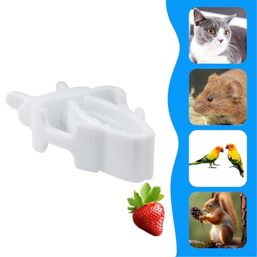 Zorfeter Bird Cage Food Holder, 6 Pack | Fruit Clip Vegetable Clip Feeder Clip, Parrot Cage Clip, For Budgie Parakeet Cockatoo Macaw Cockatiel Conure