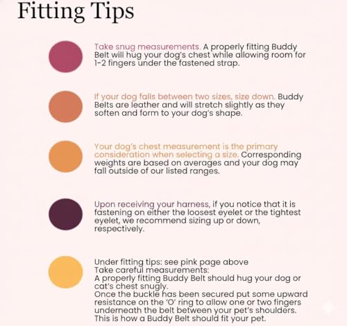 Buddy Belts Harness Pebble Grain Red - Premium Edition (4) - size: 4