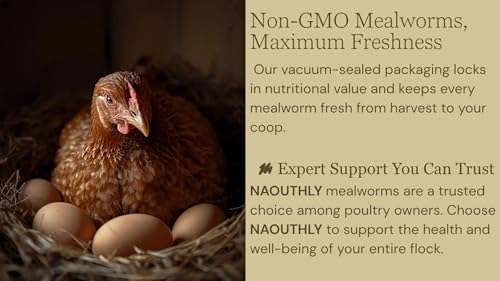 Bulk Dried Mealworms 5Lb Bag -Premium Non-GMO Dried Mealworms for Chicken, Nutritious High Protein - 100% Natural Mealworms for Laying Hens, Birds, Ducks, Chicken Feed - size: 5 Pound (Pack of 1)