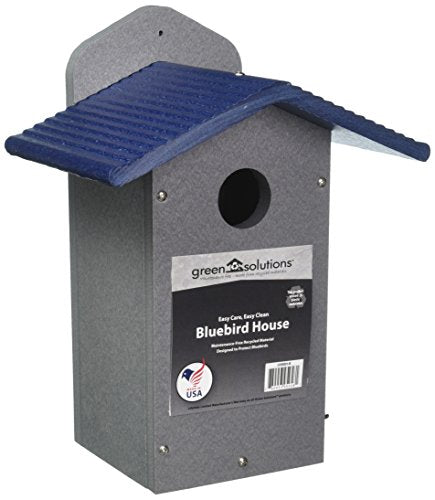 Birds Choice Green Solutions Bluebird House, 1.5" Hole | Gray & Blue | Recycled Plastic Nesting Box, Weather-Resistant for Backyard Bluebird Conservation, Made in USA - color: Gray