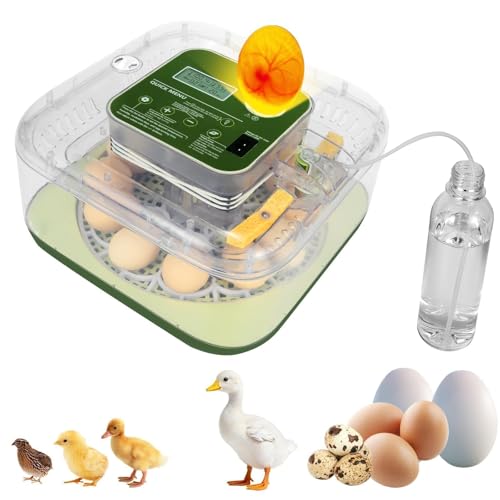 Gen IV – 12 Egg Fully Automatic Incubator, 2026 Upgraded Design, Intelligent Sensor-Based Humidity & Temp Control, Custom Hatch Days, Adjustable Auto Turnn with Auto-Stop, 360° View, Alarm, Candler - size: 12 egg-green