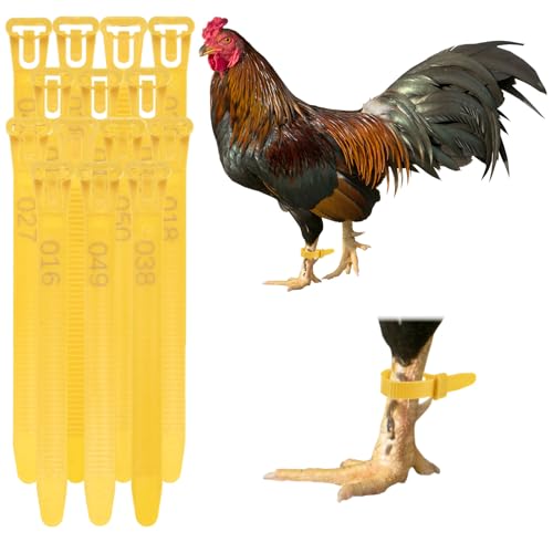 M METERXITY 100-Pack Adjustable Chicken Leg Bands, 10-28 mm Plastic Poultry Identification Chicken Leg Rings for Turkey/Duck/Goose/Chicks, Colorful Numbered Foot Clip on Tags [Yellow] - color: Yellow