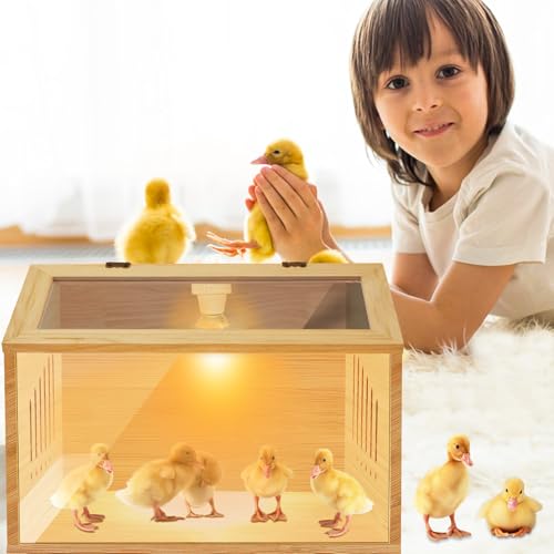 Brooder Box for Chicks，Indoor Smart Wooden Poultry Brooder with Heater, Suitable for 5-10 Newborn Chicks, Ducks, Quail, etc.（19.7 * 12 * 12inch） - size: 19.7"L x 12.0"W x 12.0"H