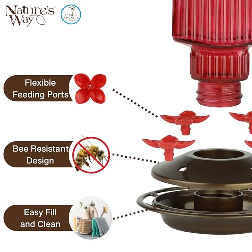 Nature’s Way Antique Red Dahlia Glass Gravity Hummingbird Feeder with Bronze Plastic Base, 22 Ounce Capacity, 4 Flexible Flower Ports and Perches, Bee-Resistant Design - color: Red