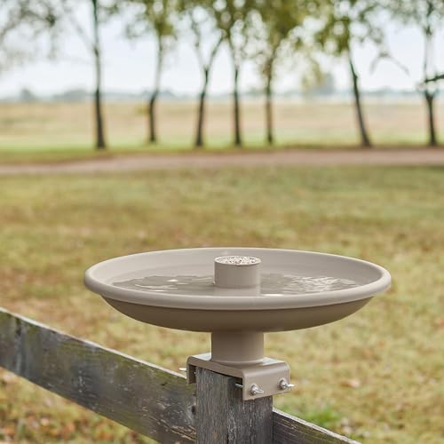 Farm Innovators 150 Watt Outdoor Plastic Heated Birdbath with Twist Deck Mount, Hidden Electrical Connection, and Internal Thermostat, Tan | All season decorative heated birdbath with easy twist-on deck mount, built-in perch or feeder, 1-1/2-gal capacity