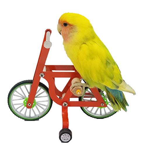QBLEEV Bird Intelligence Training Toy - Parrot Puzzle Bicycle for Birds | Trick prop training education interactive table top & foot talon toy for african grey cockatoo conures cockatiel quaker - size: Small
