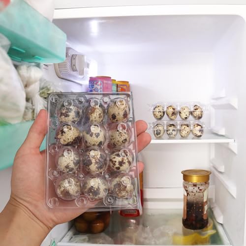 220 Pack Quail Egg Cartons, Clear Plastic Quail Egg Trays, Holds up to 12 Quail Eggs Securely - Your Ultimate Small Eggs Carton Holders for Bulk Storage and Display - size: 220 Pack Quail Egg Cartons 12 Grids
