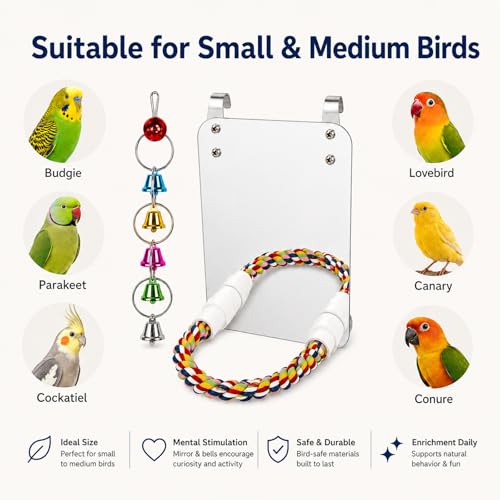 7" Bird Mirror with Rope Perch Bird Toys Swing, Comfy Perch for Greys Amazons Parakeet Cockatiel Conure Lovebirds Finch Canaries - size: 7 inch