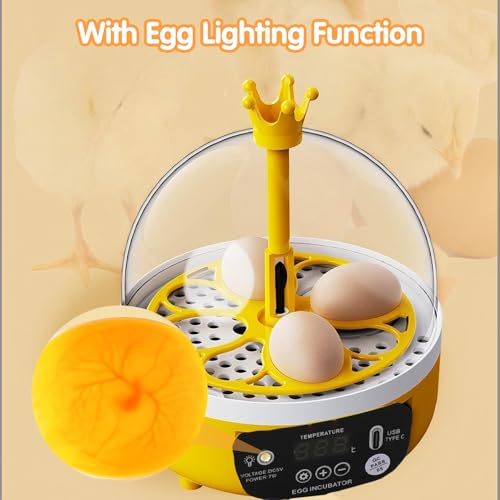 Tissting 4-Egg Mini Incubator with Transparent Lid | 7W Power & Humidity Control | Clear Viewing Window | Manual Egg Turning | for Chicken, Duck, Quail, Pigeon(Manual Turning) - color: 4 Eggs Manual Turning