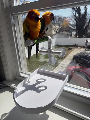 CleanPerch™ Window Bird Perch with Suction Cups. Grooming & Outside Viewing Perch for Parrots, Conures & Small Birds. Window-Mounted Bird Stand (White/Green, 6") - color: Green, size: 6"