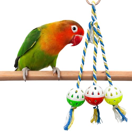 Bird Foraging Ball Toys with Rope, Parrot Feeder Toys for Conures Parakeets Cockatiel, Foot Talon Chewing Training Rattle Bell Balls Parrot Cage Toys (Medium, Ordinary)