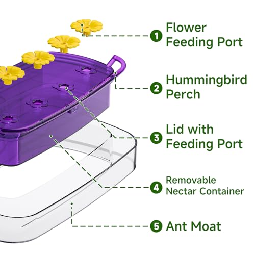 Window Hummingbird Feeder with Strong Suction Cup, Plastic Hummingbird Feeders for Outdoors, Built-in Moat,Easy to Clean and Refil (10oz) (1, Purple) - color: Purple, size: 1 Pack