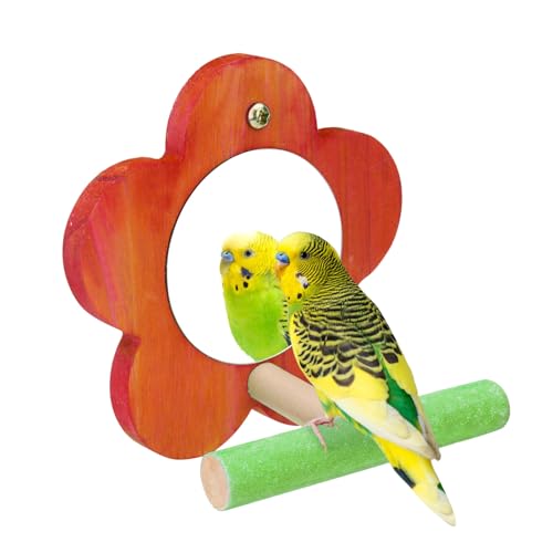 Hypeety Bird Mirror Toy with Perch Cage Standing Perch Wood Toy for Parrots | Natural wooden perch included, clear acylic miror, for parakeet/cockatiel/finch/conure/lovebird, random color, flower shape - color: Flower Shape