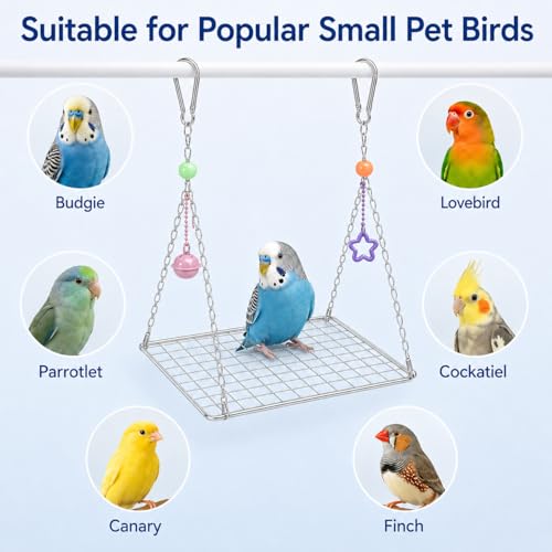 Bird Swing for Parakeets – Durable Stainless Steel Hanging Bird Perch Toy, Fits Bird Cages, Compatible with Budgies, Lovebirds, Cockatiels, 8 × 6 in (Square S) - size: Square S